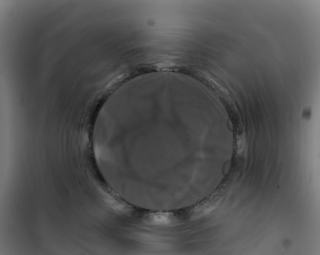 X0000100370618200807031904