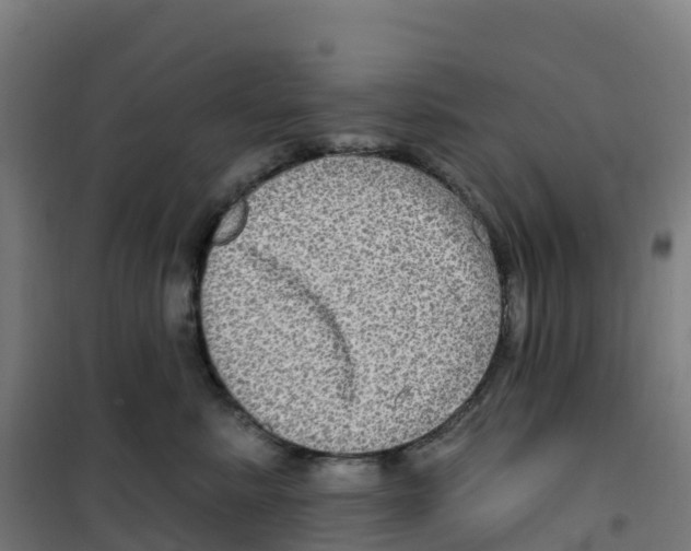 X0000100370619200807031903