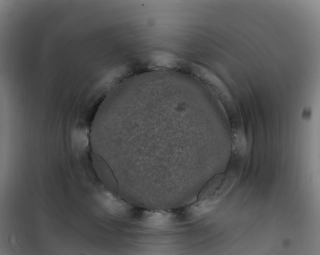 X0000100370621200807031903