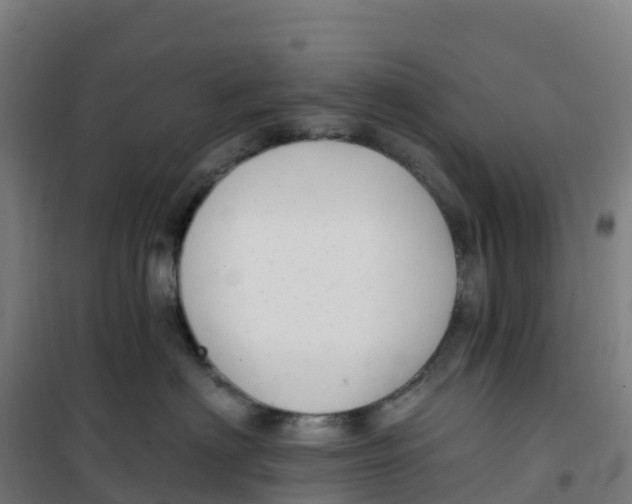 X0000100370622200807031903