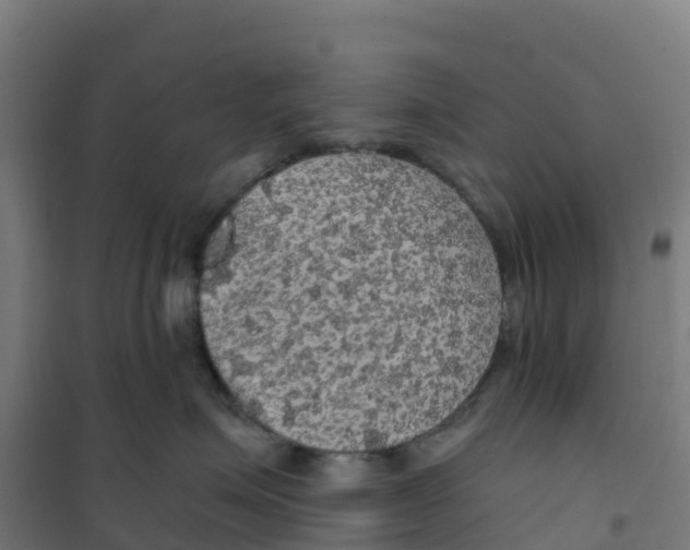 X0000100370623200807031903