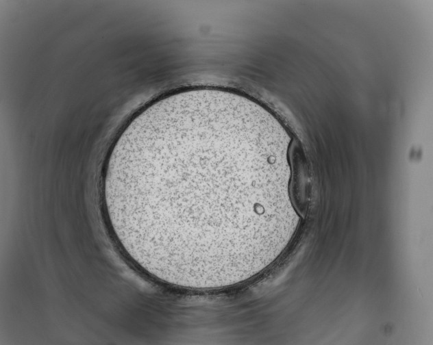 X0000100370625200807031903