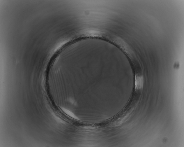 X0000100370627200807031903