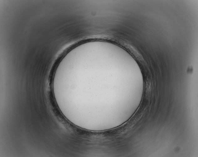 X0000100370628200807031903