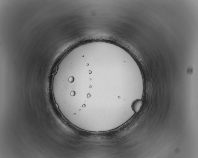 X0000100370629200807031903