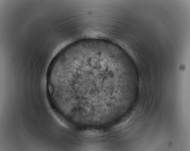 X0000100370630200807031903