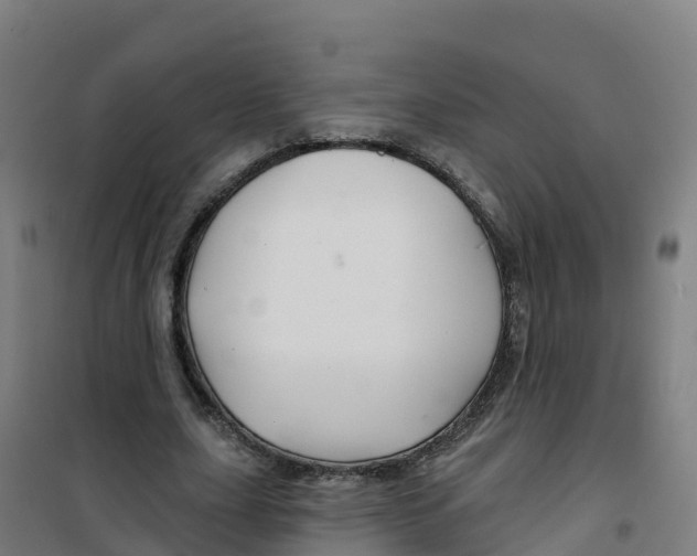 X0000100370631200807031903