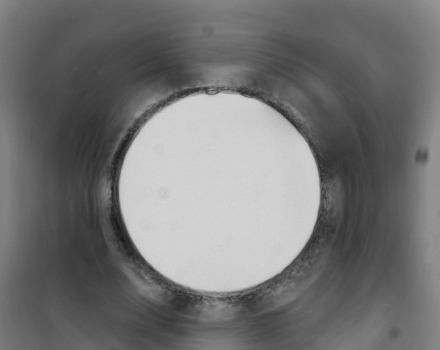 X0000100370632200807031903