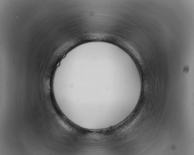 X0000100370633200807031903