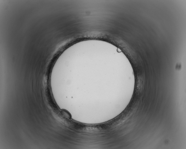 X0000100370636200807031903