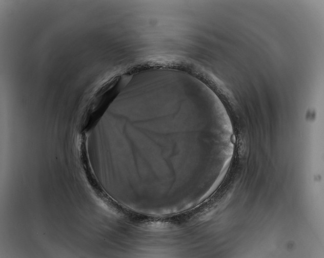 X0000100370637200807031903