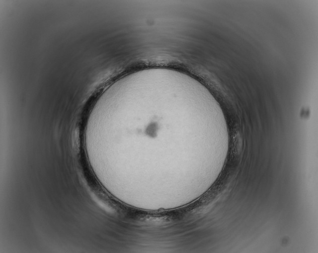 X0000100370638200807031903