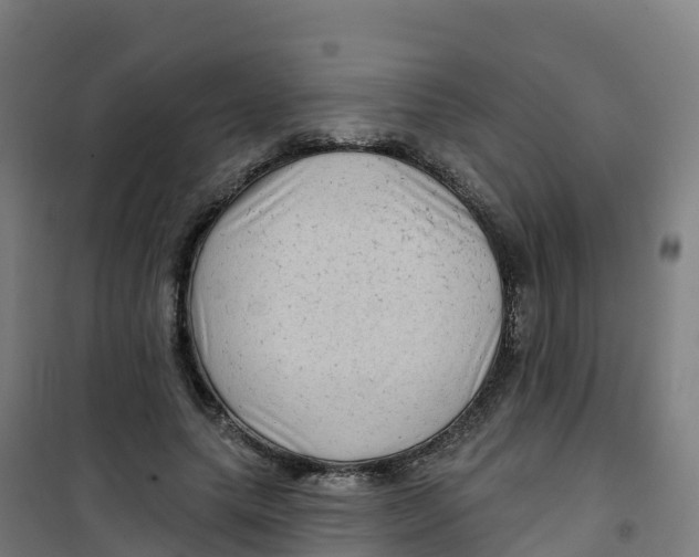 X0000100370639200807031903