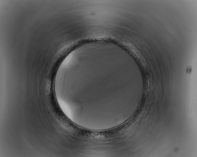 X0000100370640200807031903