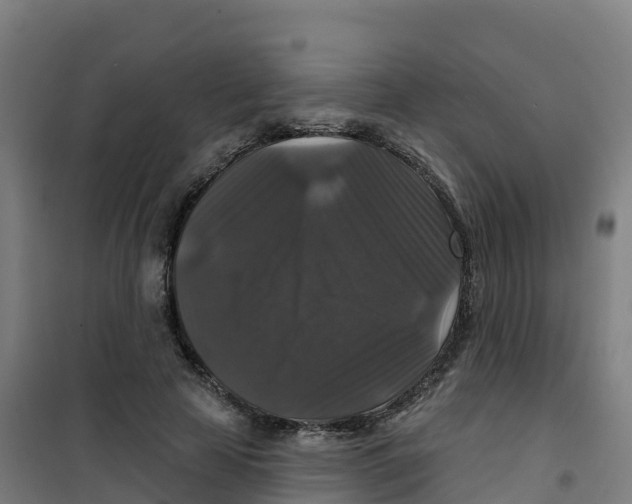 X0000100370641200807031903