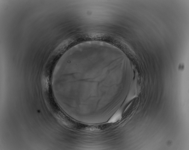 X0000100370644200807031903