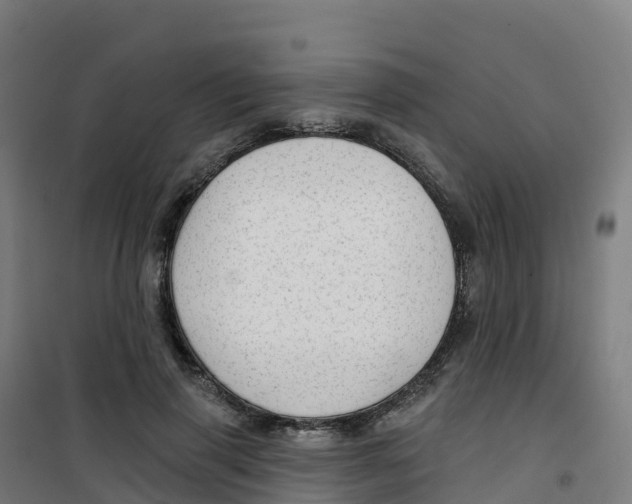 X0000100370645200807031903