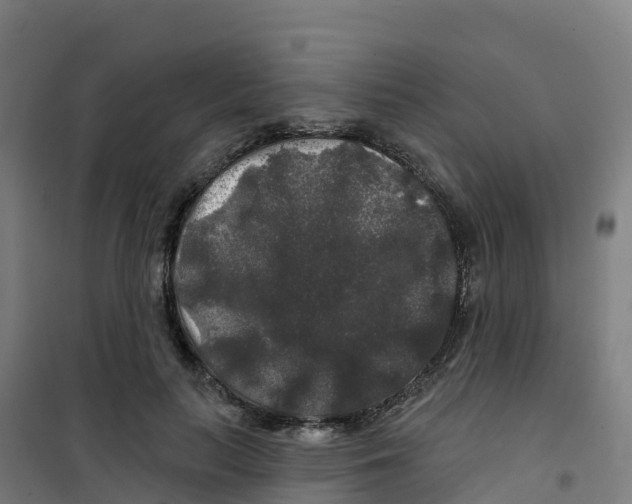 X0000100370647200807031903