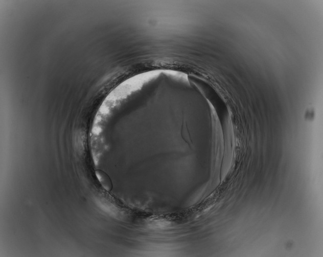 X0000100370648200807031903