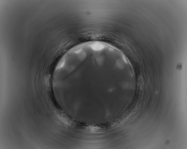 X0000100370650200807031903