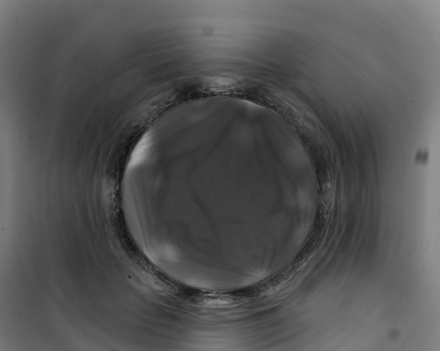 X0000100370653200807031903