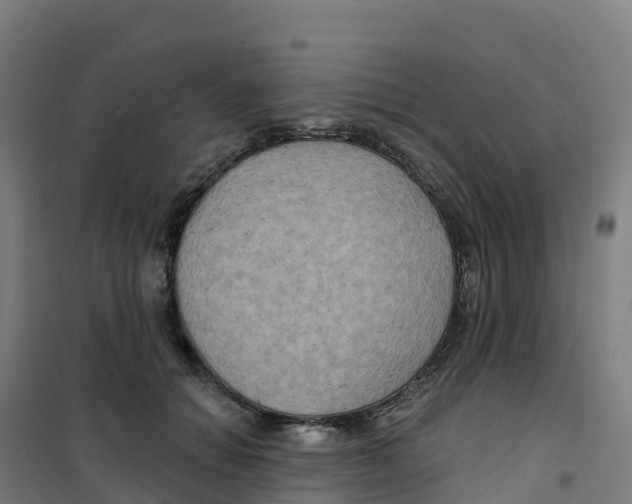 X0000100370654200807031903