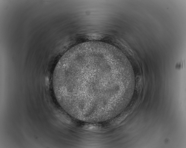 X0000100370655200807031903