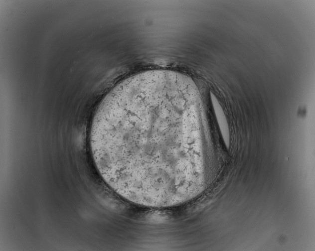 X0000100370656200807031903