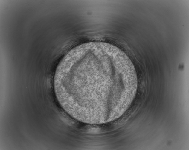 X0000100370658200807031903