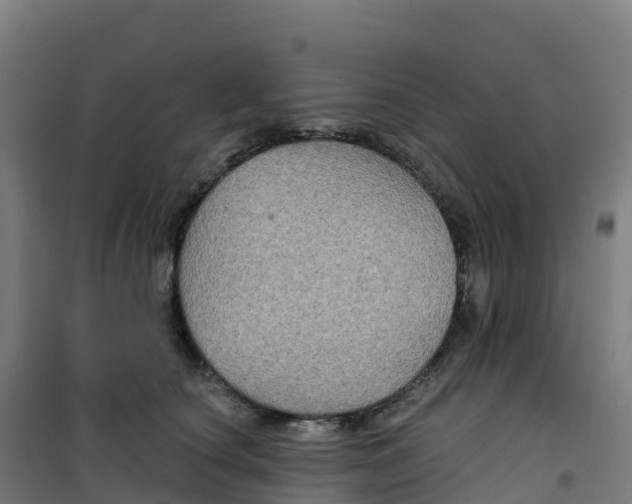 X0000100370660200807031903