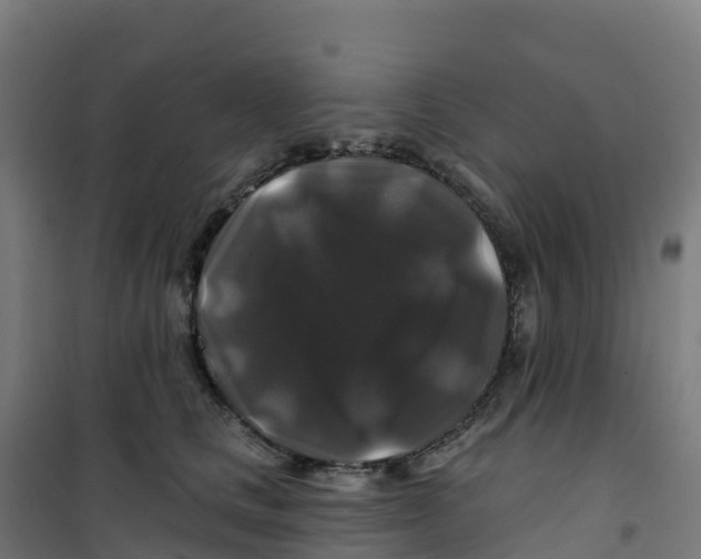 X0000100370661200807031903