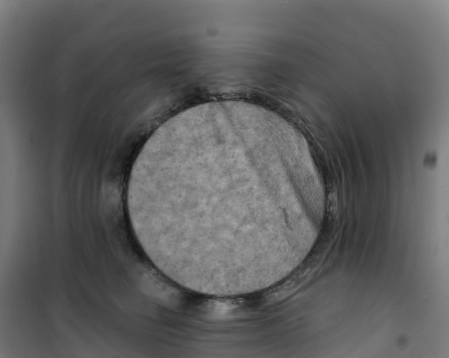 X0000100370662200807031903