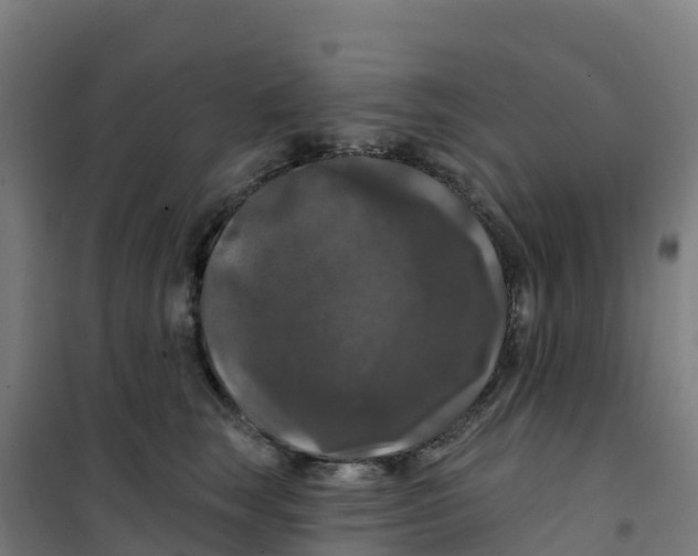 X0000100370663200807031903