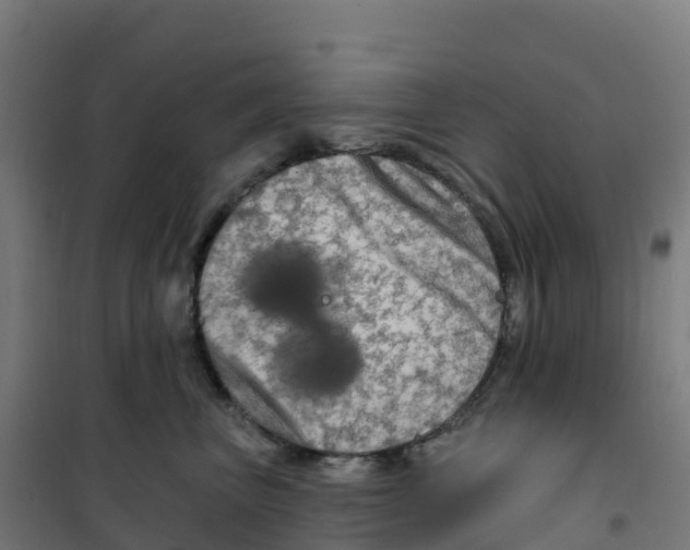 X0000100370667200807031903