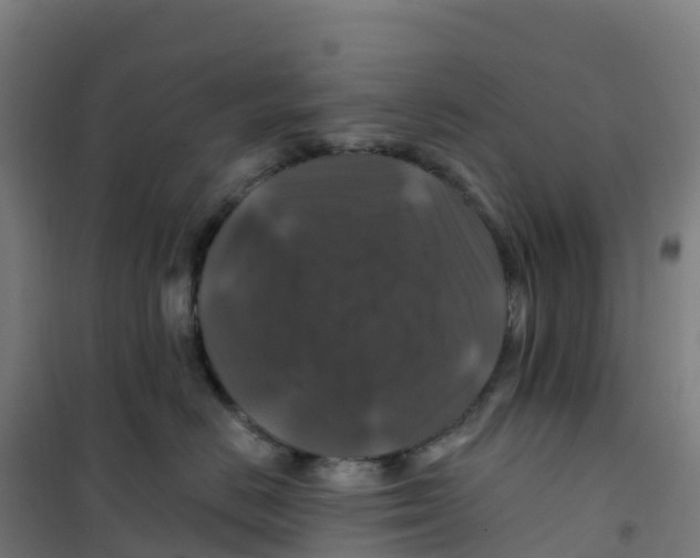 X0000100370670200807031903