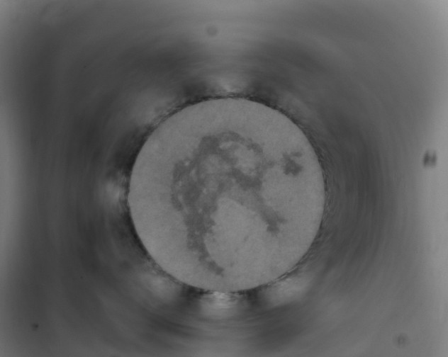 X0000100370672200807031903