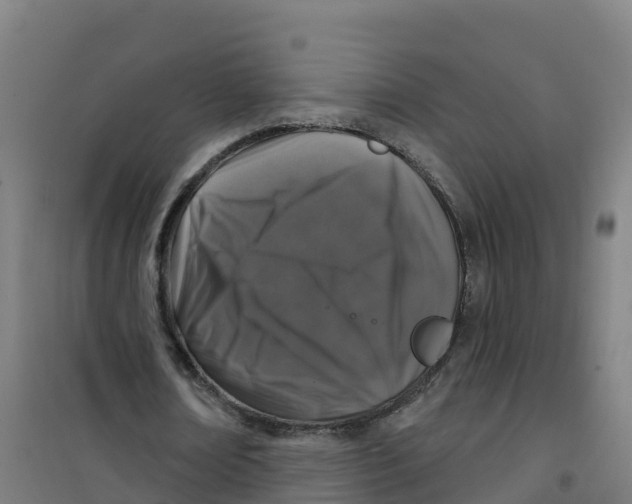 X0000100370674200807031903