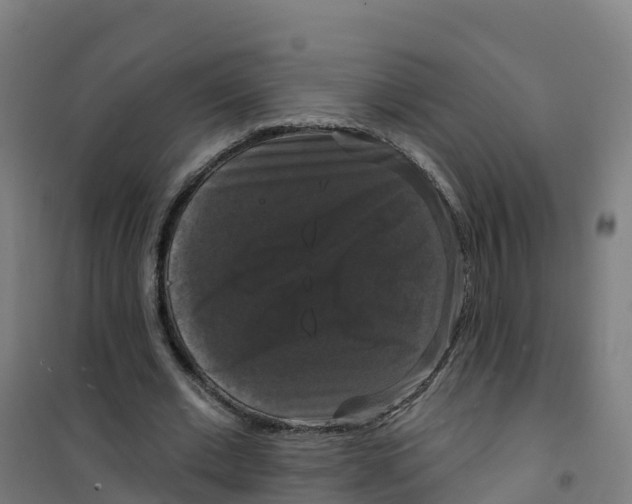 X0000100370677200807031903