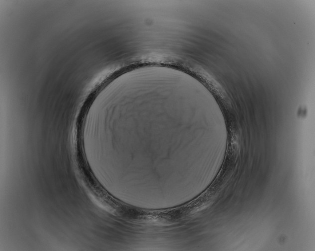 X0000100370678200807031903