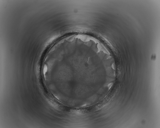 X0000100370679200807031903