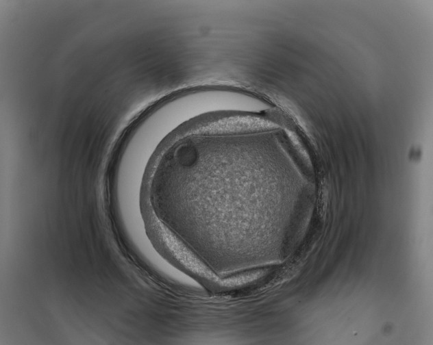 X0000100370680200807031903