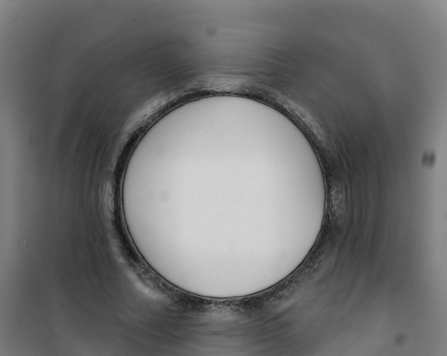 X0000100370682200807031903