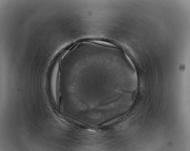 X0000100370684200807031903