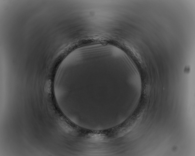 X0000100370689200807031903