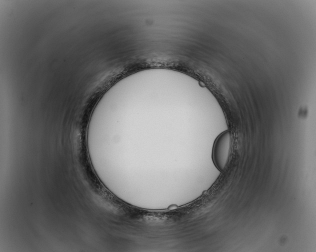 X0000100370690200807031902