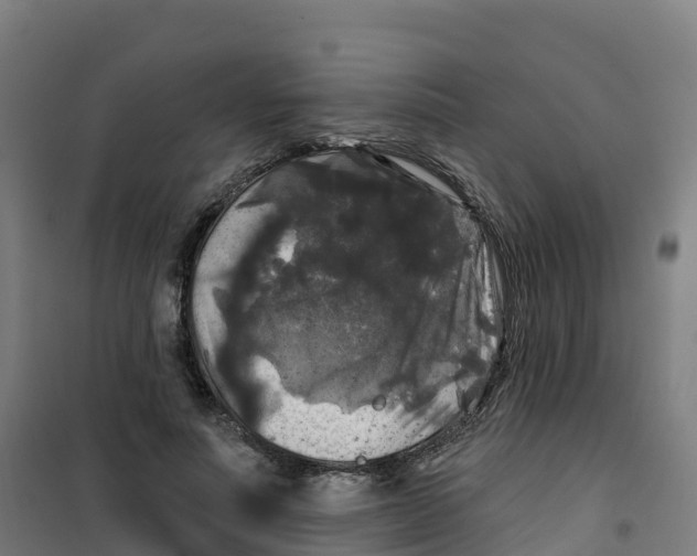 X0000100370691200807031902