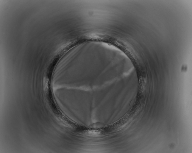 X0000100370692200807031902