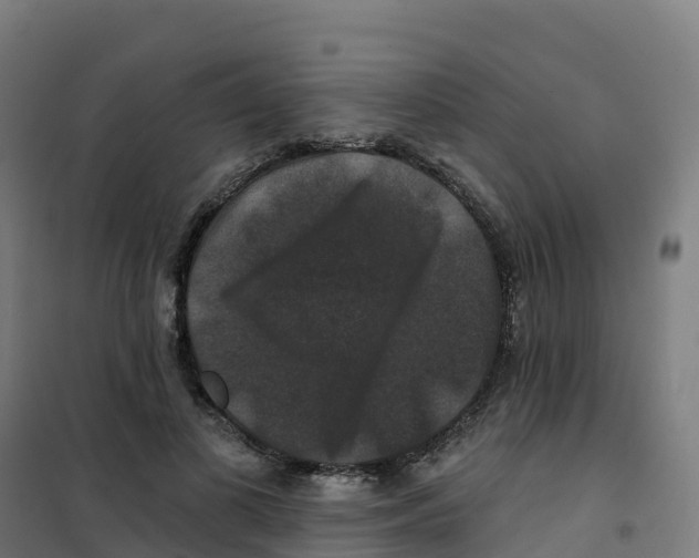 X0000100370693200807031902