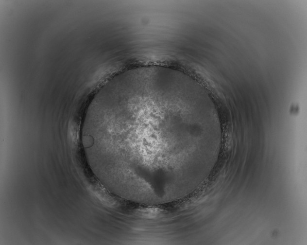 X0000100370695200807031902