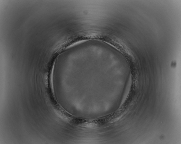 X0000100370696200807031902